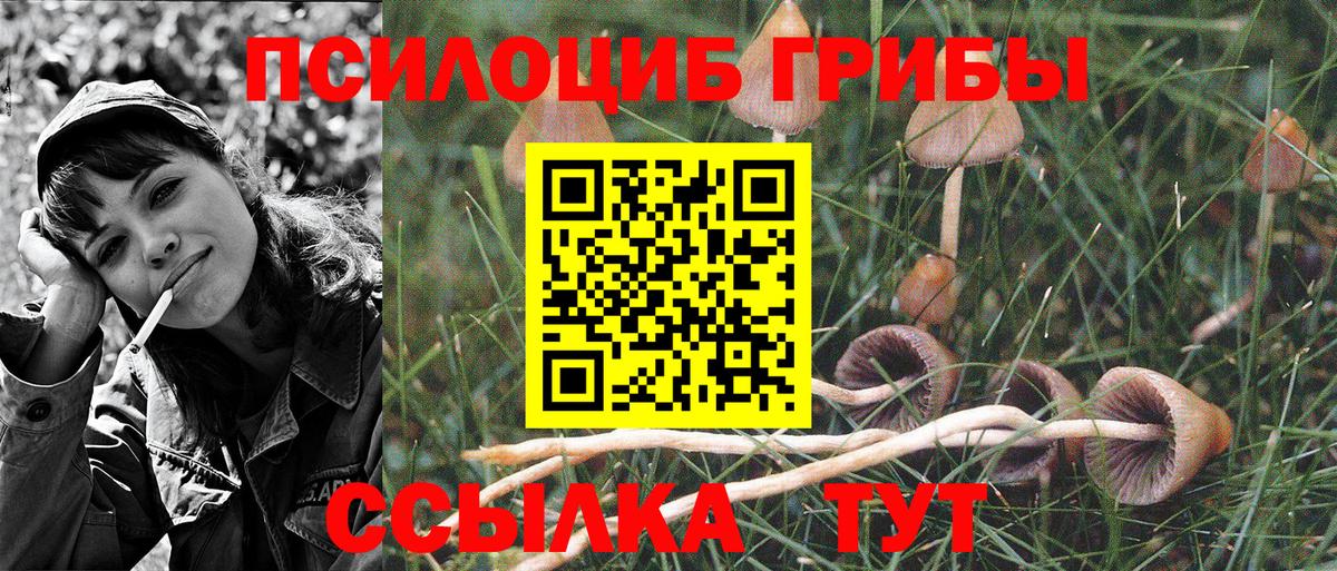 Псилоцибиновые грибы мухоморы Кимовск