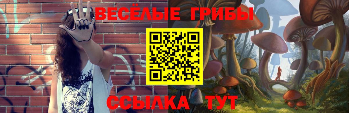 Кимовск  Галлюциногенные грибы Psilocybe  Галлюциногенные грибы Psilocybine cubensis  Вход с VPN 
